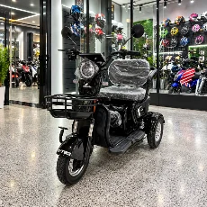Triciclo Eletrico Mult 3 1000W