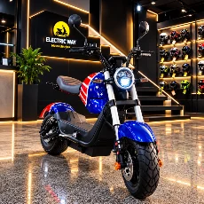 Moto Elétrica FY21 1000W