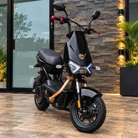 Scooter Elétrica Foston X16 Max 1000W