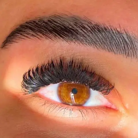 Brow Lamination 
