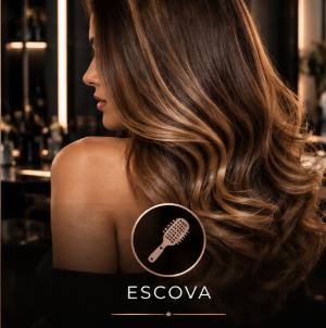 Escova