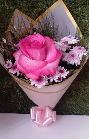 Buquê de rosas / Rosa Pink