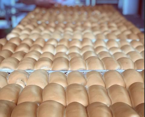 Pão de Hot Dog