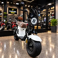 Scooter Elétrica X12